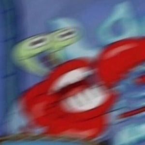 Meet your Posher, Lonnie